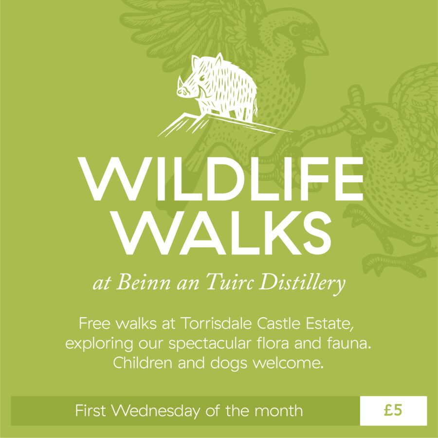 WILDLIFE WALKS