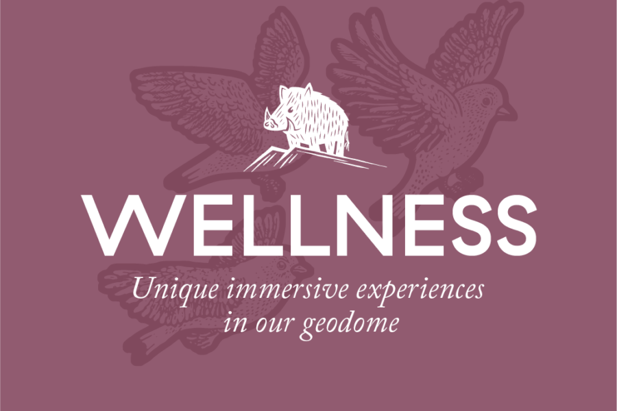 Wellness Events